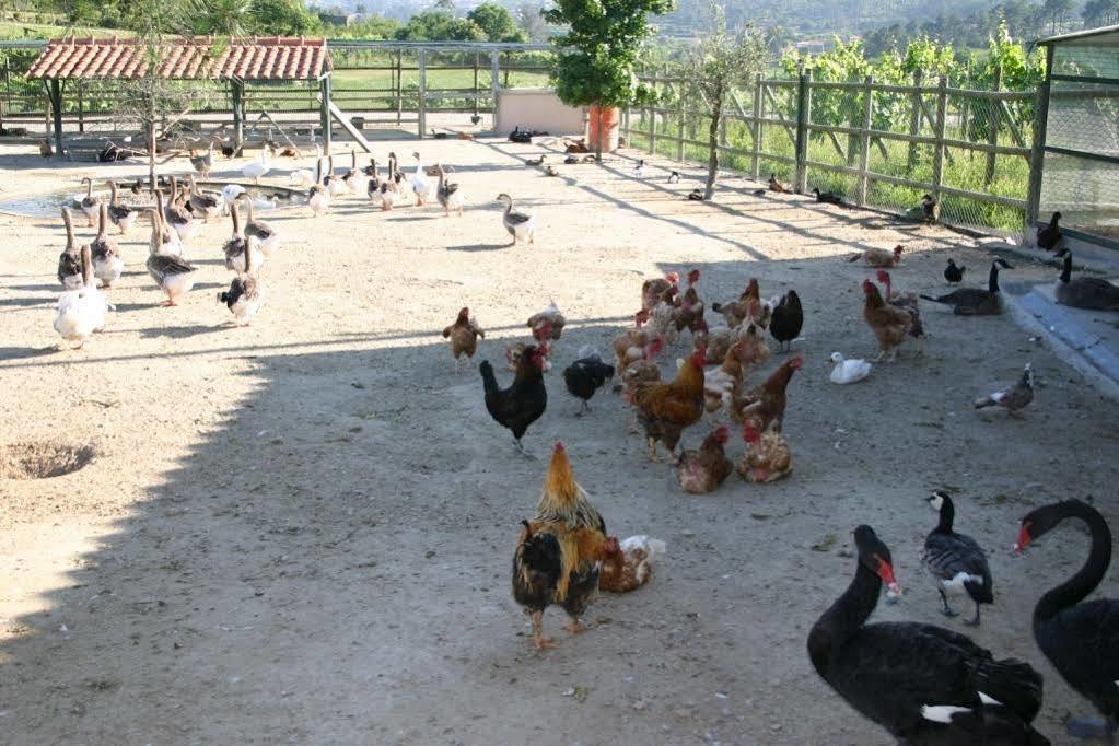 Vale De Rans - Country House Ngoại thất bức ảnh